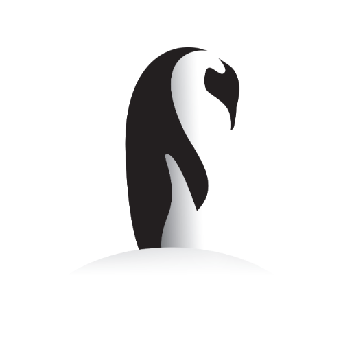 Um pinguim tão tranquilo que parece um vilão